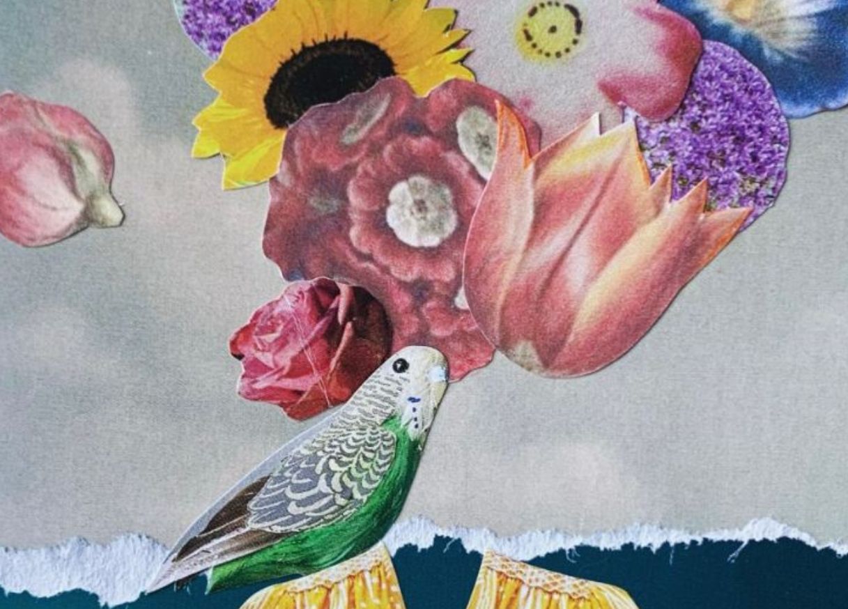 Collage Workshop for Adults